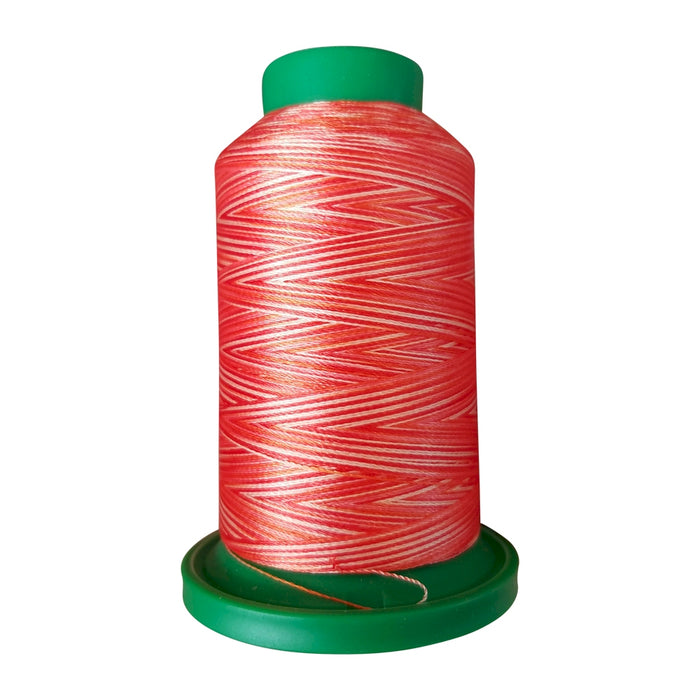 Isacord 40 Multicolour - 9924