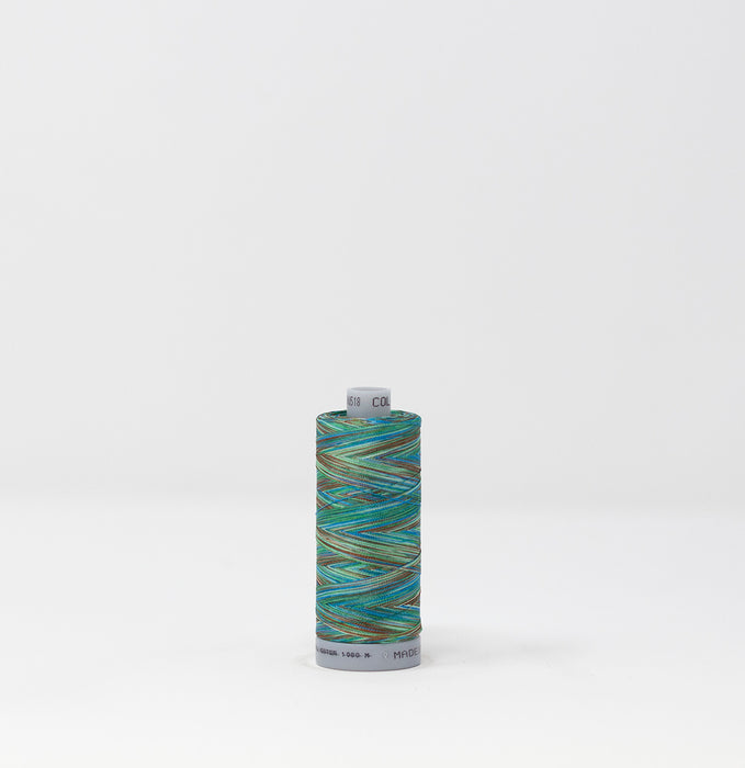 MADEIRA POLYNEON POLYESTER 1608 MULTICOLOR